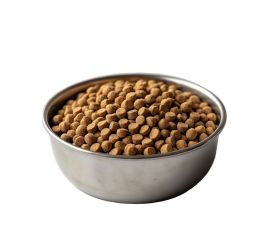 Сухой корм для кошек